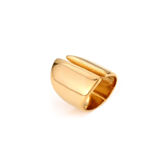 Goa Ring - Roestvrij staal